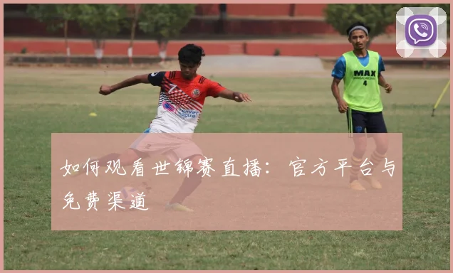 如何观看世锦赛直播：官方平台与免费渠道